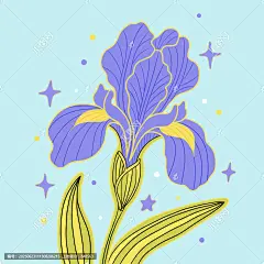 梦幻紫色鸢尾花插画