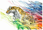 siberian-tiger-by-jongkie