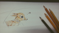 Quin陈滚滚、采集到Quin插画、