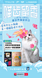 @天猫 的个人主页 - 微博