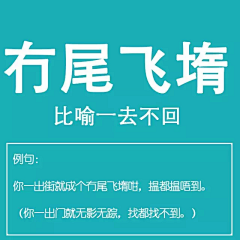 森林青琥采集到文字