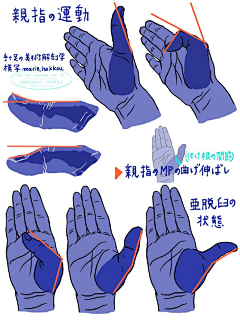 脑门儿采集到X-学习-人体