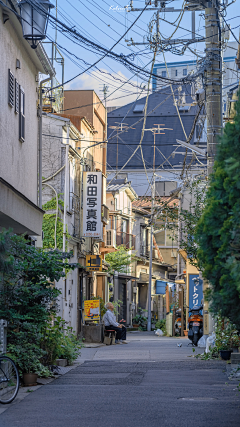 一只温婉的毒经采集到摄影-景