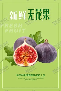 无花果海报 【酷图网】无花果,水果,无花果素材,果仁,进口水果,无花果果酱,无花果干,无花果海报,无水果图片,无花果水果,无花果中药,无花果干果,新疆无花果,无花果特产,无花果树,无花果广告,无花果展板,无花果包装,无花果酒,无花果茶,无花果汁,无花果饮料,无花果罐头,无花果脯,新鲜无花果,设计,广告设计
