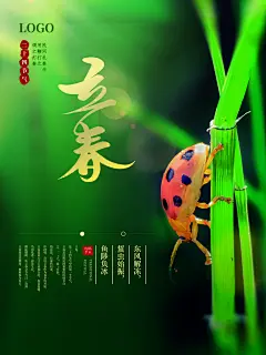 中国传统二十四节气春天立春节气海报