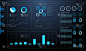 仪表板,金融,数据,图表,信息图表,饼图,比例,联系