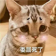 “别人欺负我，你要帮打他们..”    #表情包#