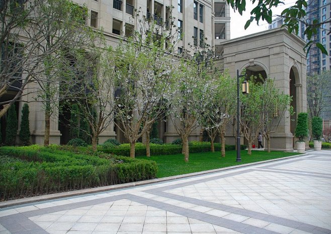 建筑周边植物景观