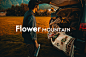 日本Flower mountain山雾花野