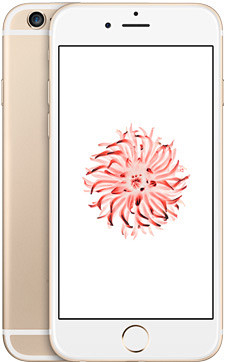 iPhone - Compare Mod...
