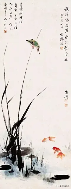 花鸟大师王雪涛笔下的鱼