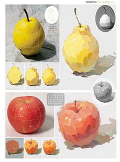 美术艺类采集到水粉画中水果怎么画#色彩