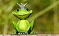 Frog, Figure, King, Cute, Funny, Sweet, Fun, Animal