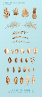 Gold Painted Leaves Collection : Gold Painted Leaves are a set of Hi Res 240 DPI PNG files of various leaves and tropical plants for use in mocking up your design projects.  Download today at <a class="text-meta meta-link" rel="nofollow&