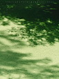 2da00b0ac8792d312c6fdd420a92d36d093c5c9263bb4-PTrrYf_fw1200
