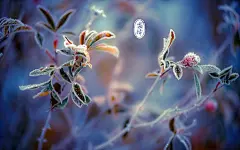 二十四节气之霜降时节唯美自然风光高清桌面壁纸(2)