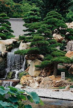 是一个菜鸡采集到场景