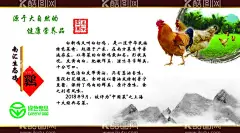 绿色食品南汇生态鸡  - 源文件下载【酷图网】绿色食品,家禽,生态鸡,鸡,原生态,海报,背景,设计,易拉宝