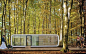 莱茵阳光“苹果舱”可移动装配式创意建筑 - 美篇