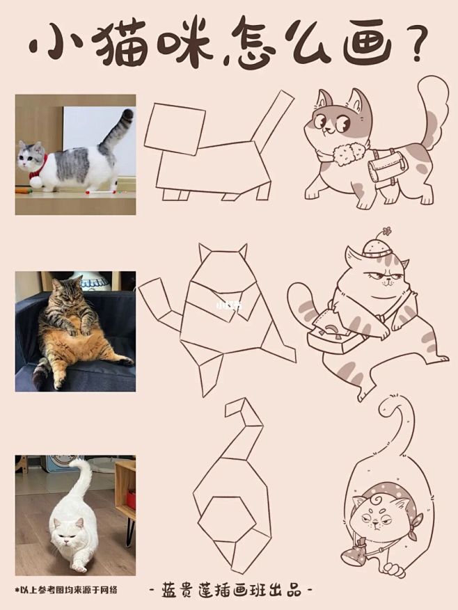零基础插画教程|4步学会小猫咪的画法 :...
