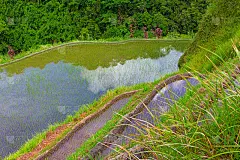 在菲律宾的一个水稻梯田徒步旅行。