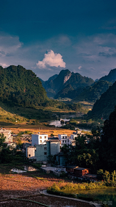 恋上紫菀花采集到风景