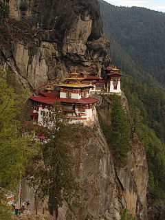 風中的珠兒采集到風景