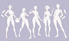 女性人体结构