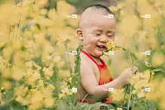 孩子 花壁纸 男孩 花朵 草地 可爱的 年轻 童年 婴儿