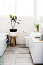 10 Rooms With Plants For Minimalists