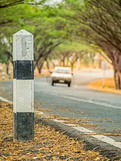 景观以直路下树拱隧道，阳光在路的尽头，夏季自然景观为背景