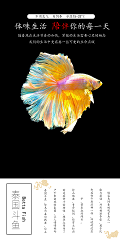 奈莘采集到Aquarium