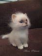 felted kitten by Anna Petinati