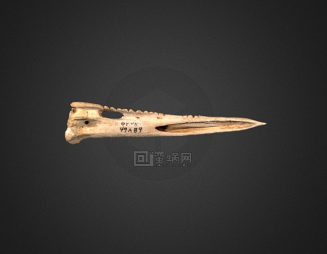 骨锥 骨刺 骨头 骨质武器 断裂的骨头 - 角色模型 蛮蜗网