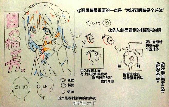 结构、眼睛、透视、瞳孔、半侧面