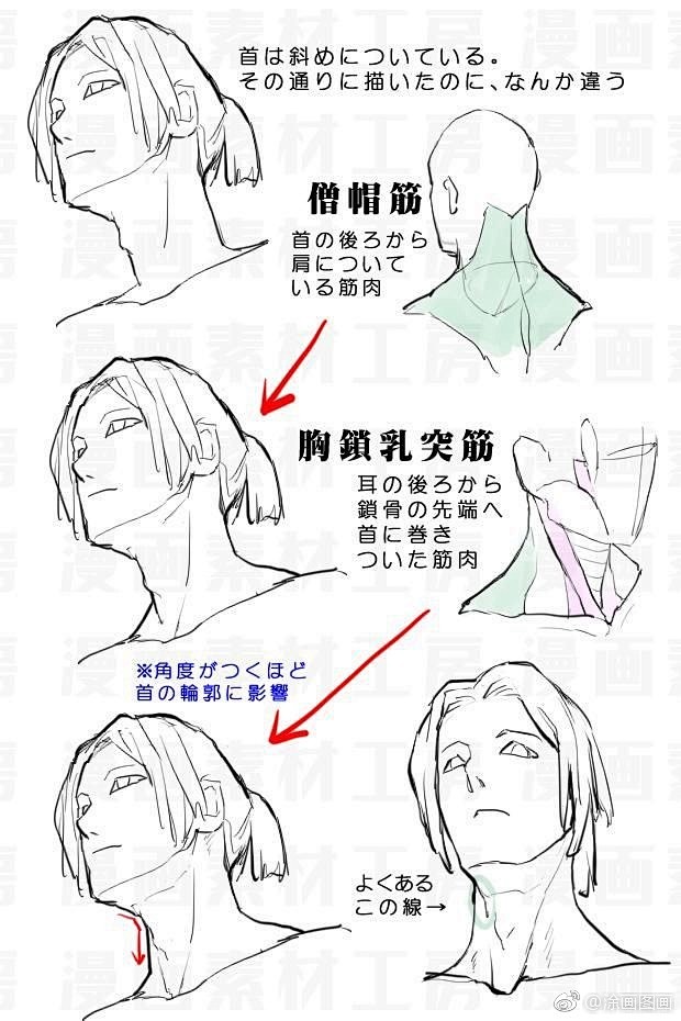 头颈肩关系绘画干货素材67676767