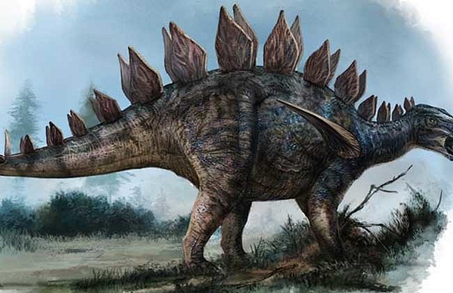 恐龙种类介绍及图片恐龙种类名字肉丁儿童网