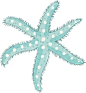 【点击下载PNG大图】海底世界PNG高清矢量免抠素材 Under Water 水母 海星 水草 贝壳 海胆 扇贝