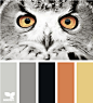 Design Seeds®: For All Who Love Color