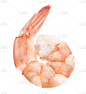 虾,白色,饮食,食品,清新,海产,垂直画幅,影棚拍摄,粉色,明虾