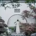 采集图片