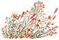 【纽约插画师Vikki Chu的作品欣赏】
插画师Vikki Chu的绘画主题集中于大自然，花花草草是其作品中十分常见的元素，这让人看着很是舒心，整个人也都随之好起来。
  作者官网：vikkichu.com