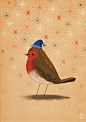 Christmas Creatures | Christmas card designs : Designs for a set of Christmas cards based on animals