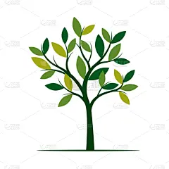 绿色,泉,创造力,自然,华丽的,高雅,图像,苹果树,树,装饰