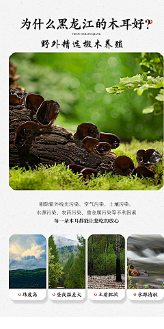 没点B数采集到详情地域-成分