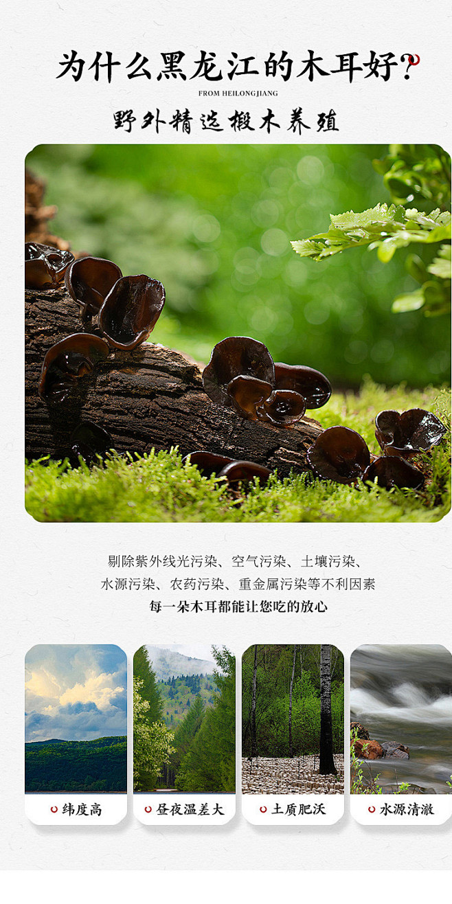 黑木耳头茬东北黑木耳干货正宗原产地特厚单...
