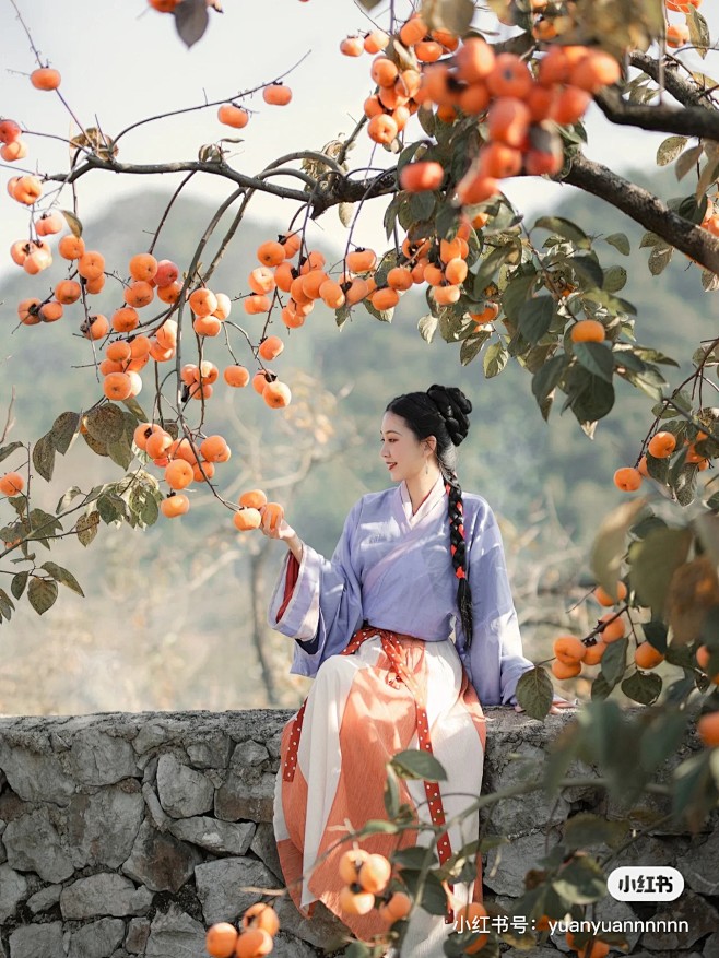 古风摄影 秋天 枇杷 黄色 古装女子坐在...