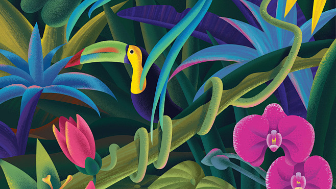 animals birds Digita...