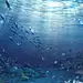 《恋与制作人》官方网站--超现实恋爱经营手游 : 《恋与制作人》由超人气声优倾情演绎、众多顶级画师精心绘制，是集恋爱、经营及超现实世界的新感觉手游。原汁原味的节目制作体验，与日常生活中不同职业的隐藏超能力者近距离接触，在跌宕起伏的超现实世界中体验心动！