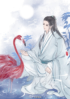 芍药引采集到公子世无双